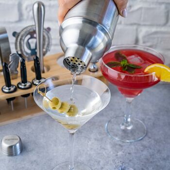 Ensemble shaker à cocktail avec support – Kit de barman mixologie 17 pièces : shaker à martini de 750 ml, doseur, passoire, pilon, cuillère à mélanger, pinces – Accessoires de bar en acier inoxydable, outils pour mélanger les boissons 15