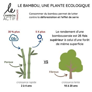 Charbon de bambou français filtre à eau 4