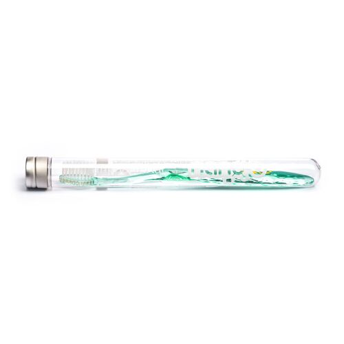 Nano-b Silver Toothbrush - Green