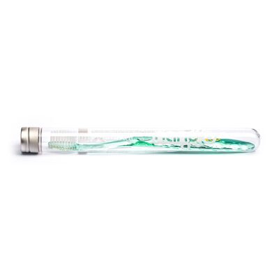 Nano-b Silver Toothbrush - Green