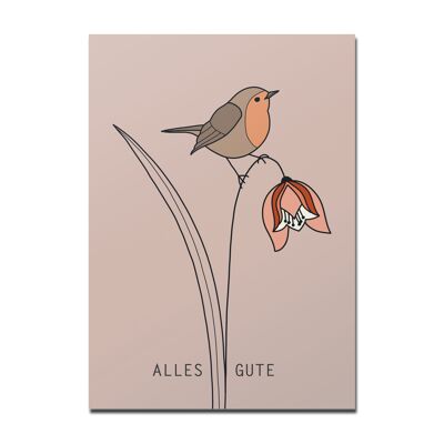 Cartolina "All the best", pettirossi