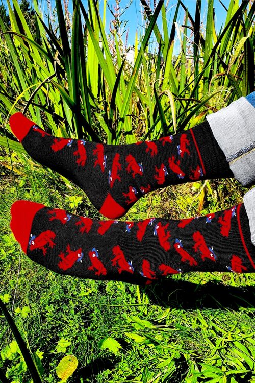 Chaussettes Grenouille Rouge