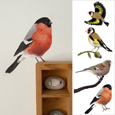 Finches Wall Stickers