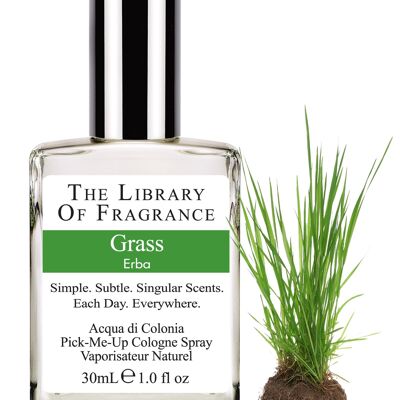 Grass - Herb 30ml
