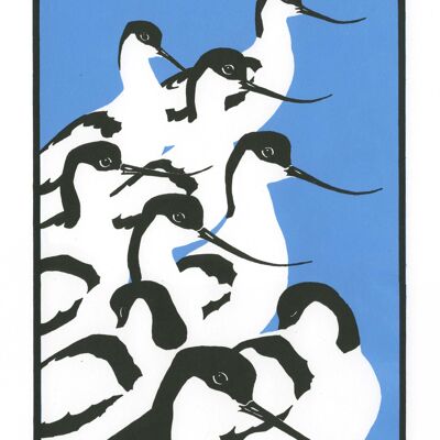 Nine Avocets Notebook