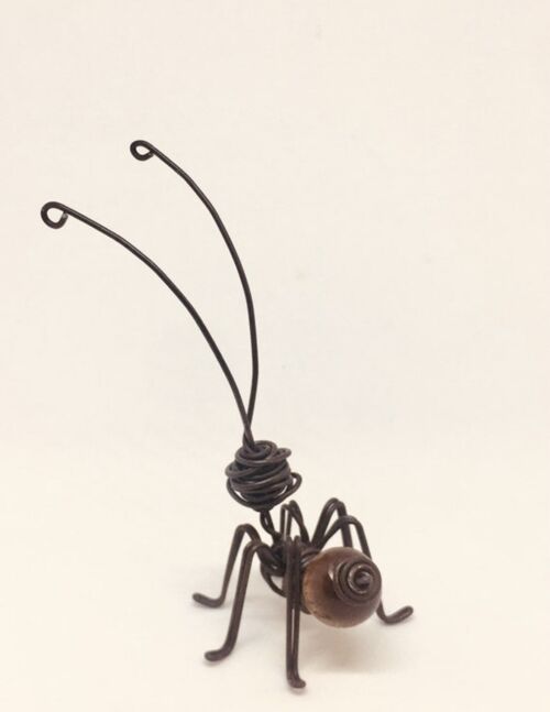 Hormiga con bola de madera marron oscuro