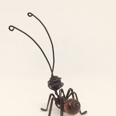 Ameise mit dunkelbrauner Holzkugel
