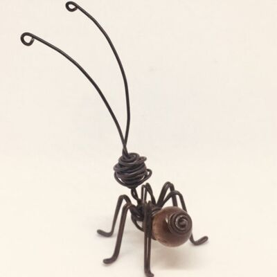 Ameise mit dunkelbrauner Holzkugel
