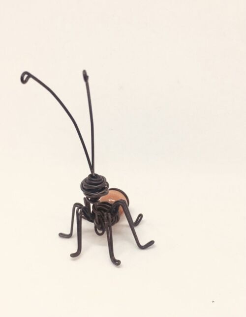 Hormiga con bola de madera marron claro