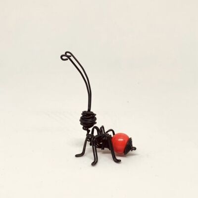 Ant with red wooden ball