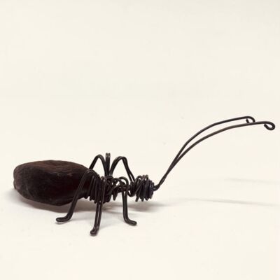 Formica con baccello di ficus