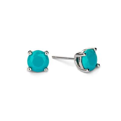 December Birthstone Earrings - Turquoise