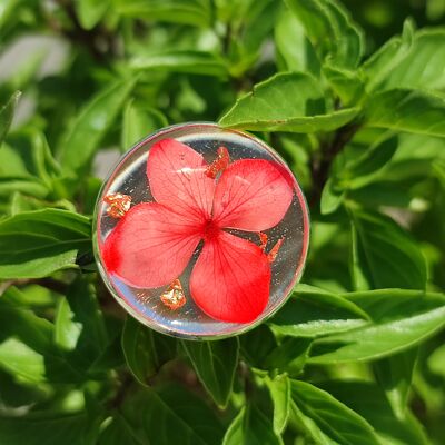 Anello con fiore rosso essiccato