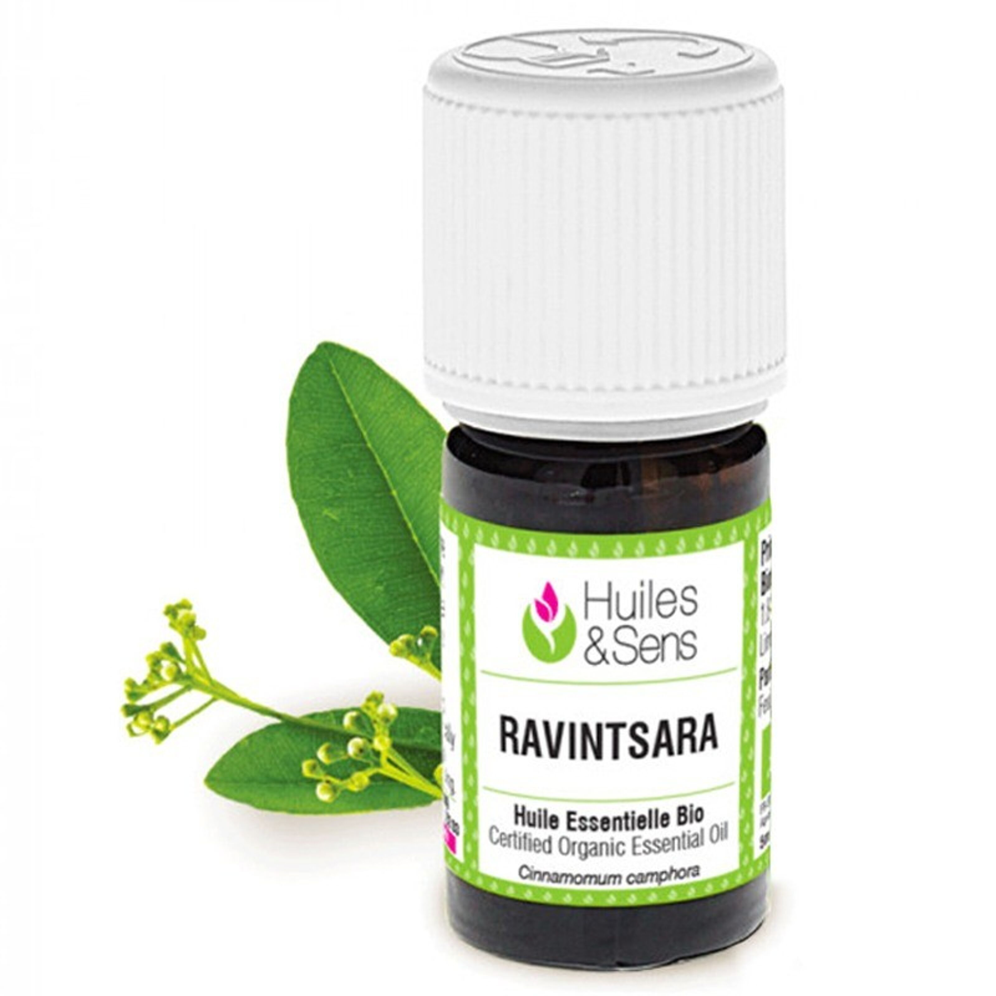 Buy wholesale Organic Ravintsara Essential Oil - 30 ml.