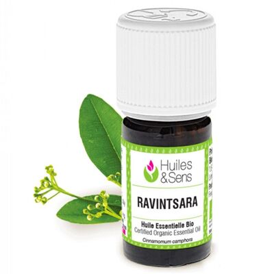 Aceite esencial de ravintsara (orgánico) -5 ml