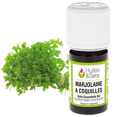 huile essentielle marjolaine à coquilles (bio)-5 ml