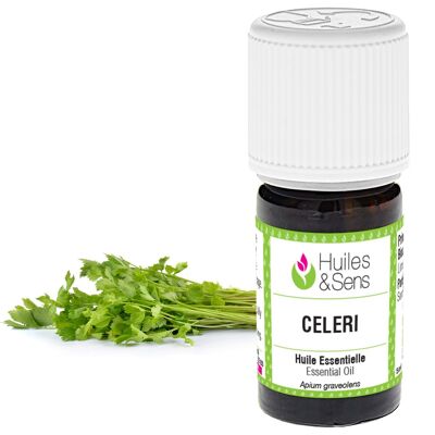 celery essential oil - 5 ml