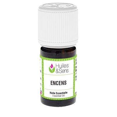 huile essentielle encens (bio)-5 ml