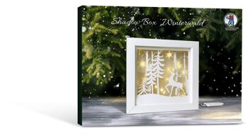 Shadow box "forêt d'hiver" 1