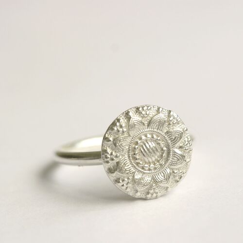 middelburg ring
