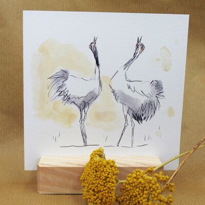 Greeting Card Cranes