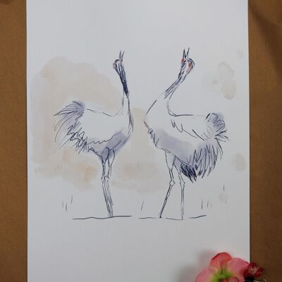 Poster Cranes