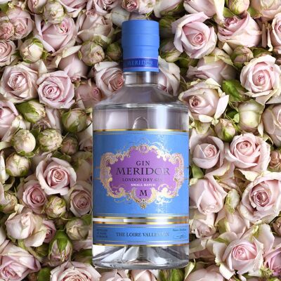 Gin Meridor 20cL - GIN - 41,9°