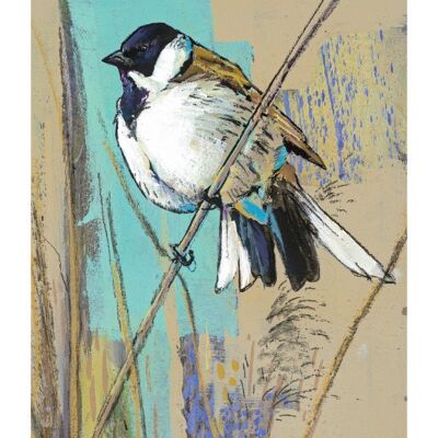 Reed Bunting Notebook