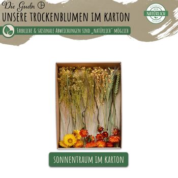 FLEURS SÈCHES EN CARTON - UNE SÉLECTION DE FLEURS SÈCHES (Sonnentraum) 2