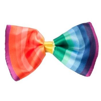 Birthday rainbow bow tie
