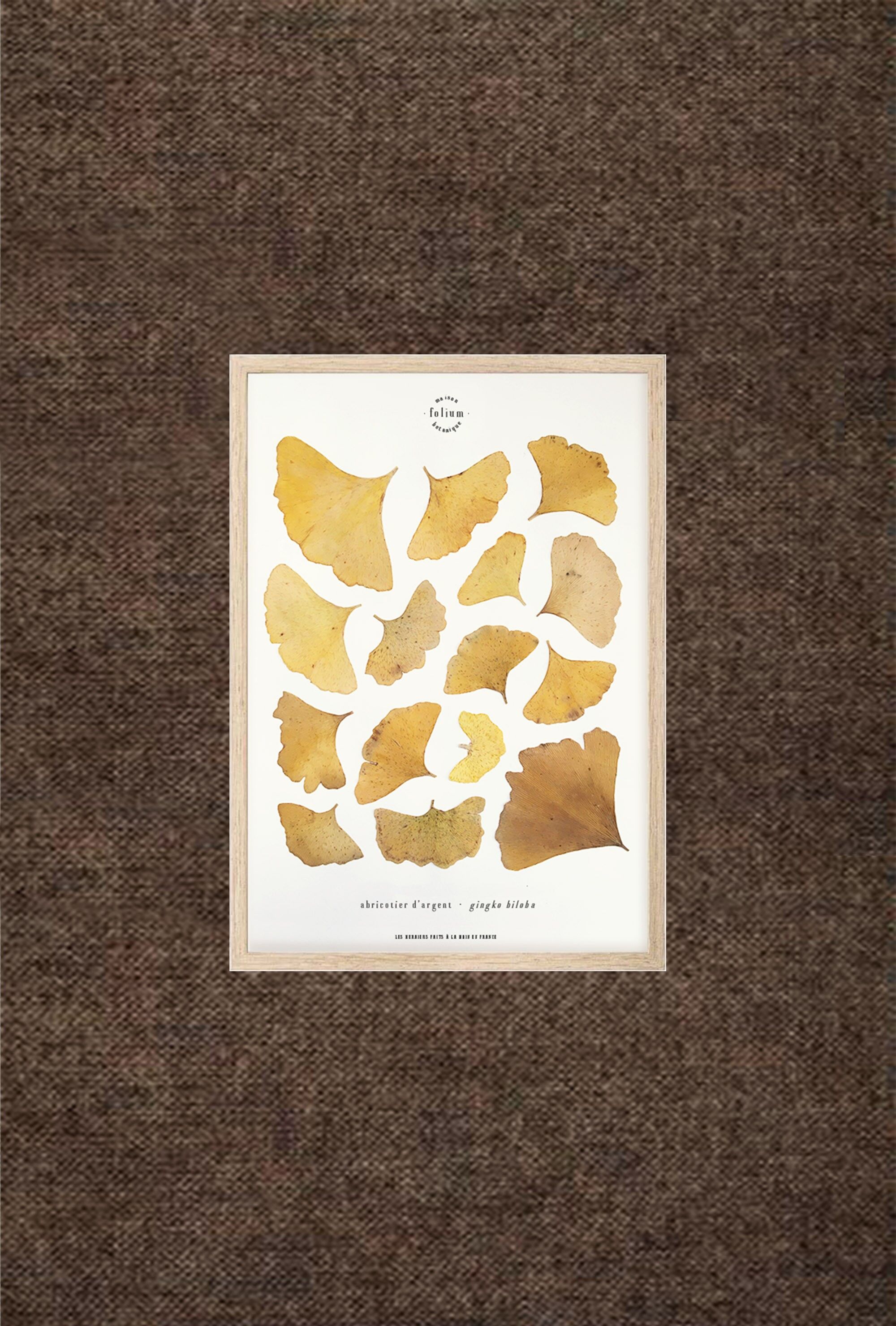 Gingko Herbarium - 21x30cm