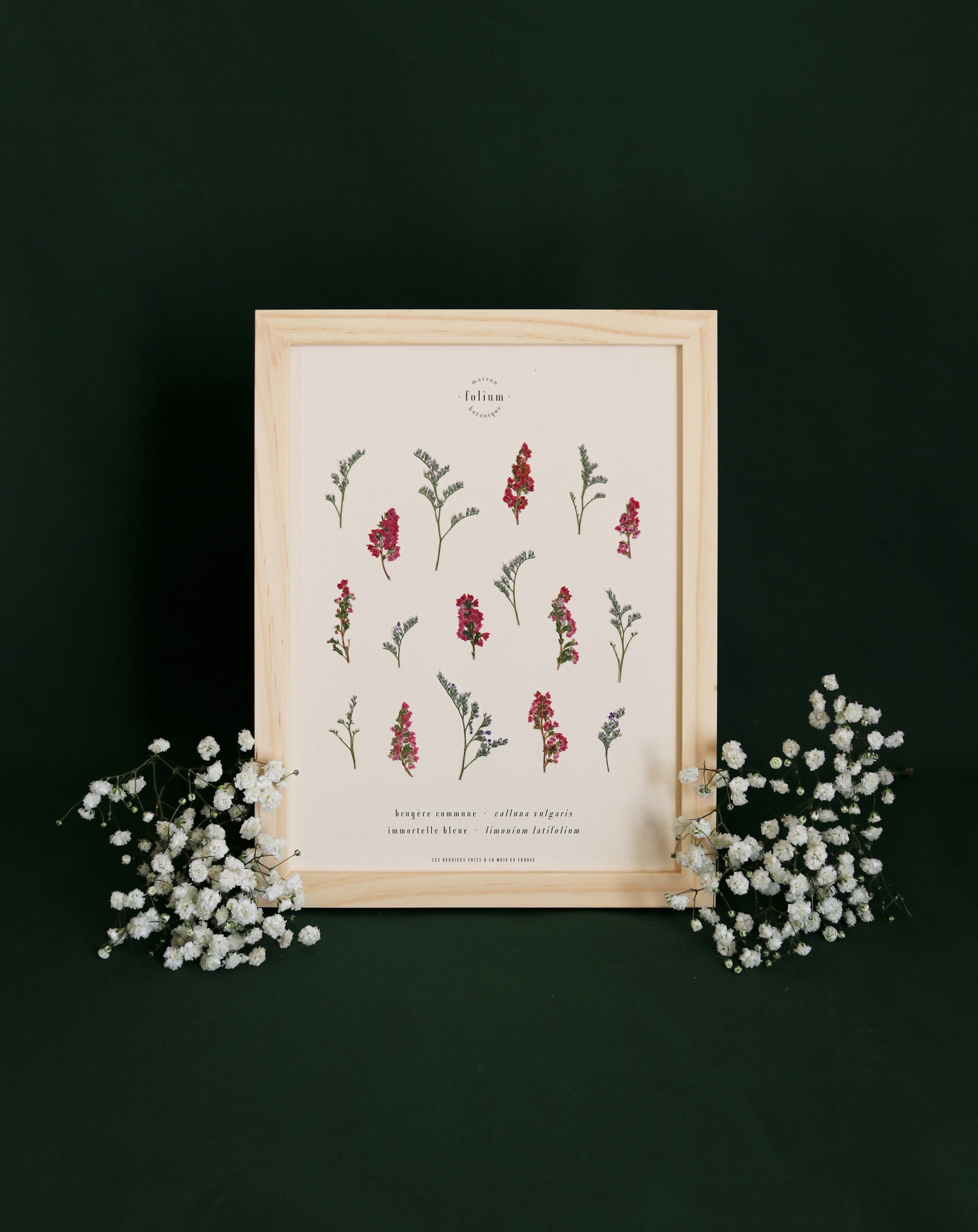 Herbarium Heidekraut und Immortelle - 18x24cm