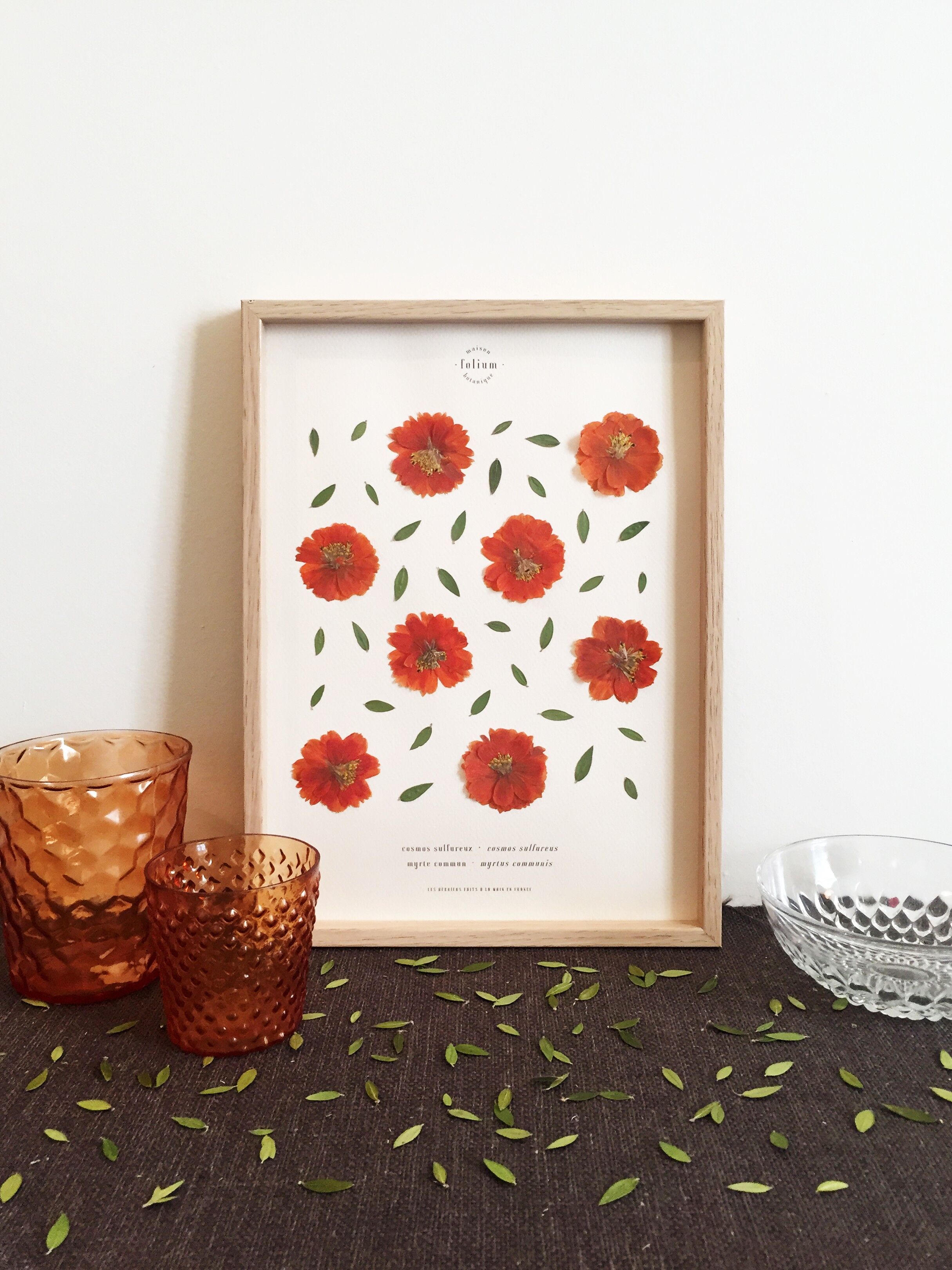 Herbarium von Kosmos und Myrte - 21x30cm