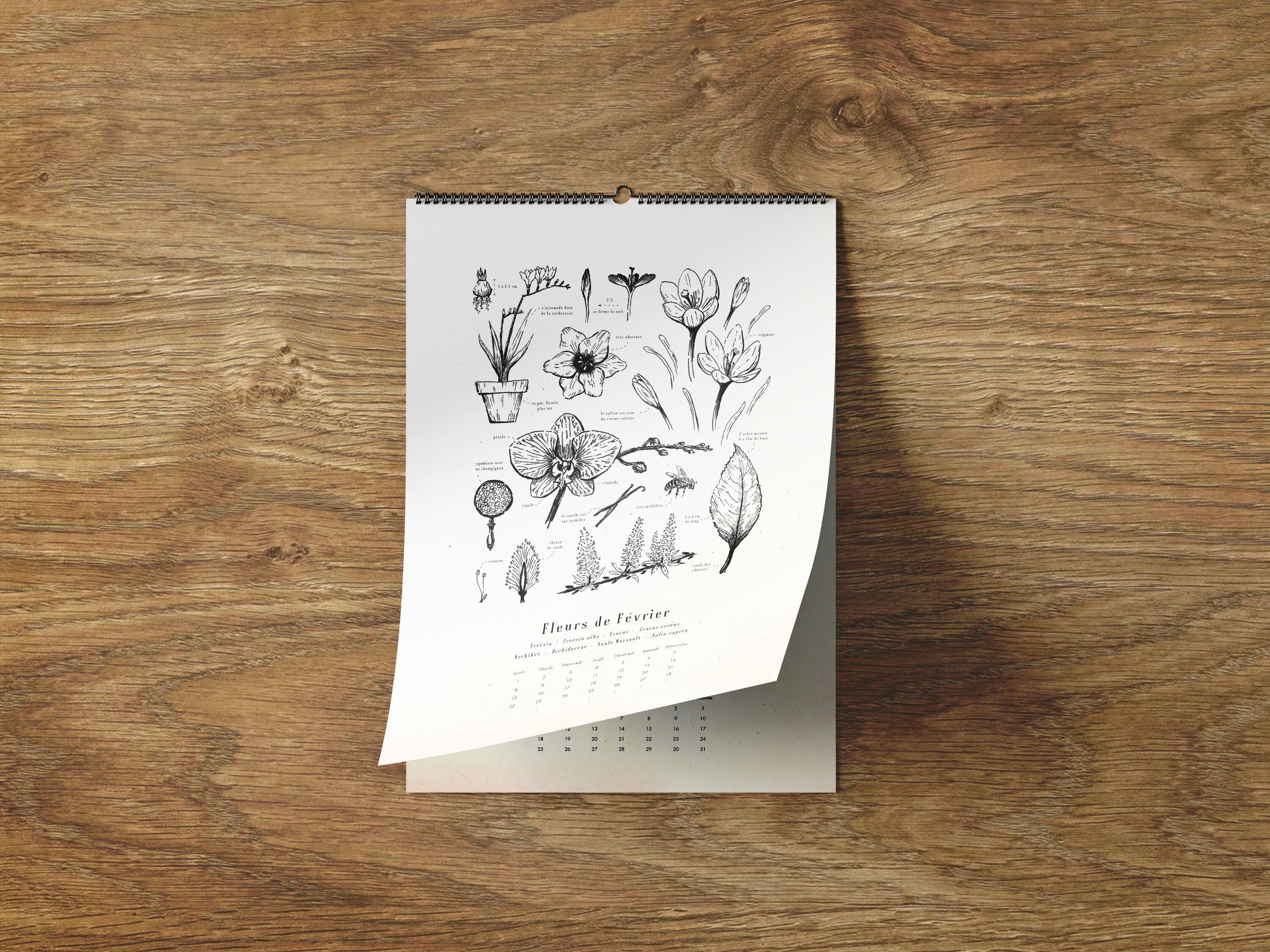 Saisonaler Blumenkalender - A3