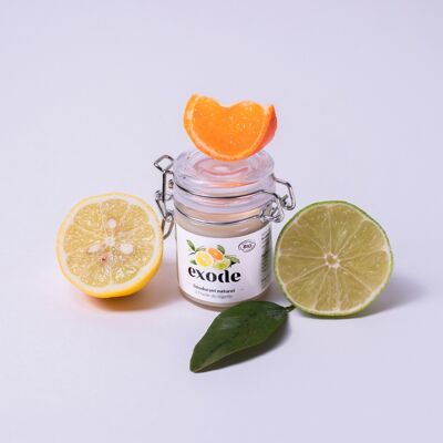 Organic deodorant - Citrus