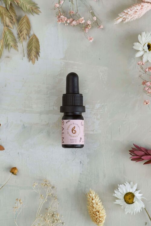 Eucalyptus Organic Pure Essential Oil