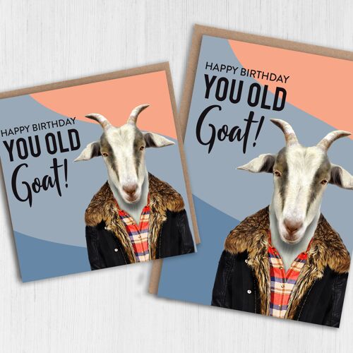 Goat birthday card: You old goat (Animalyser)