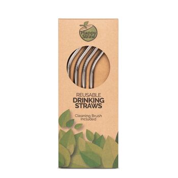 Pailles à Smoothie Happy Straw - Courbées - Argent x 4 1