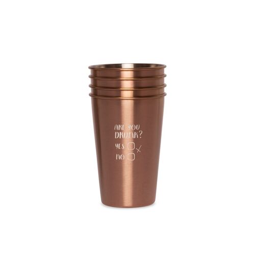 Happy Straw Stainless Steel Drinking Cups "ARE YOU DRUNK?" x 4
