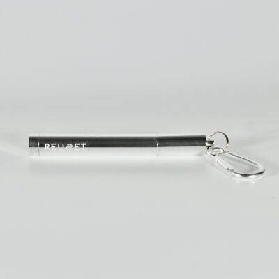 Collapsible Reusable Straw - Silver