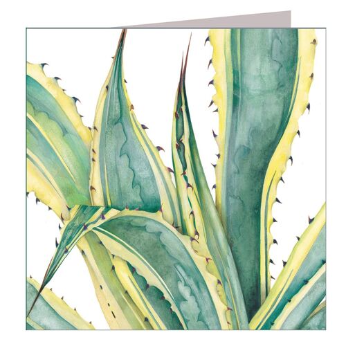 BT04 Agave Greetings Card