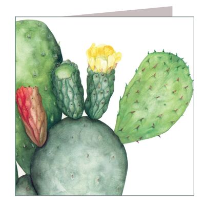 BT07 Prickly Pear Greetings Card