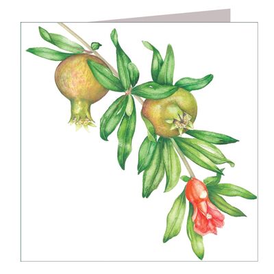 BT25 Young Pomegranates Greetings Card