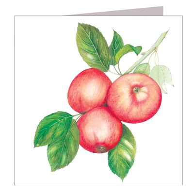 Tarjeta de felicitaciones de manzanas BT18