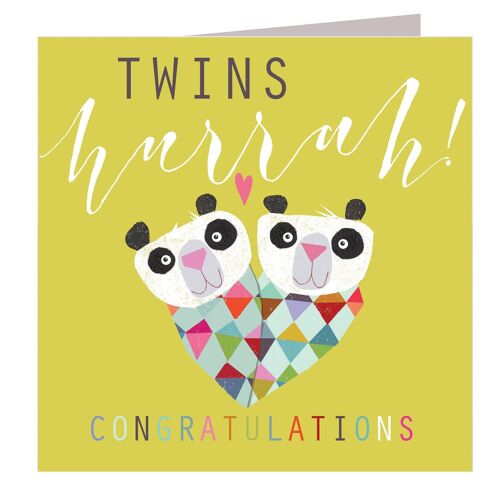 NB07 Twins Congratulations Greetings Card