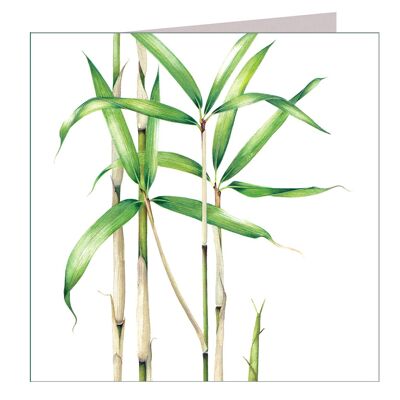 Tarjeta de felicitaciones de bambú BT02