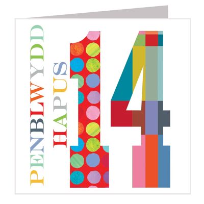 WNO14 Welsh Penblwydd Hapus / Buon compleanno 14 anni Card