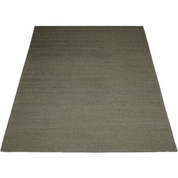 Tapis Austin Vert 160 x 230 cm , SKU194