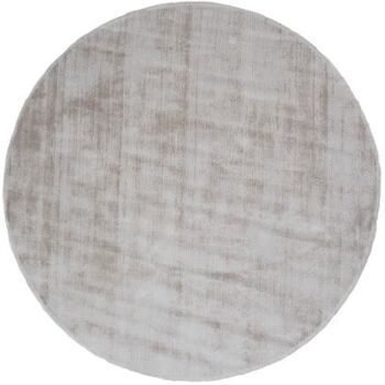 Tapis Viscose Rond Gris Clair ø200 cm, SKU223