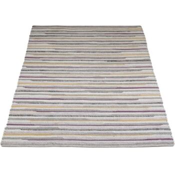 Tapis Homeland Beige/Vert 160 x 230 cm, SKU259